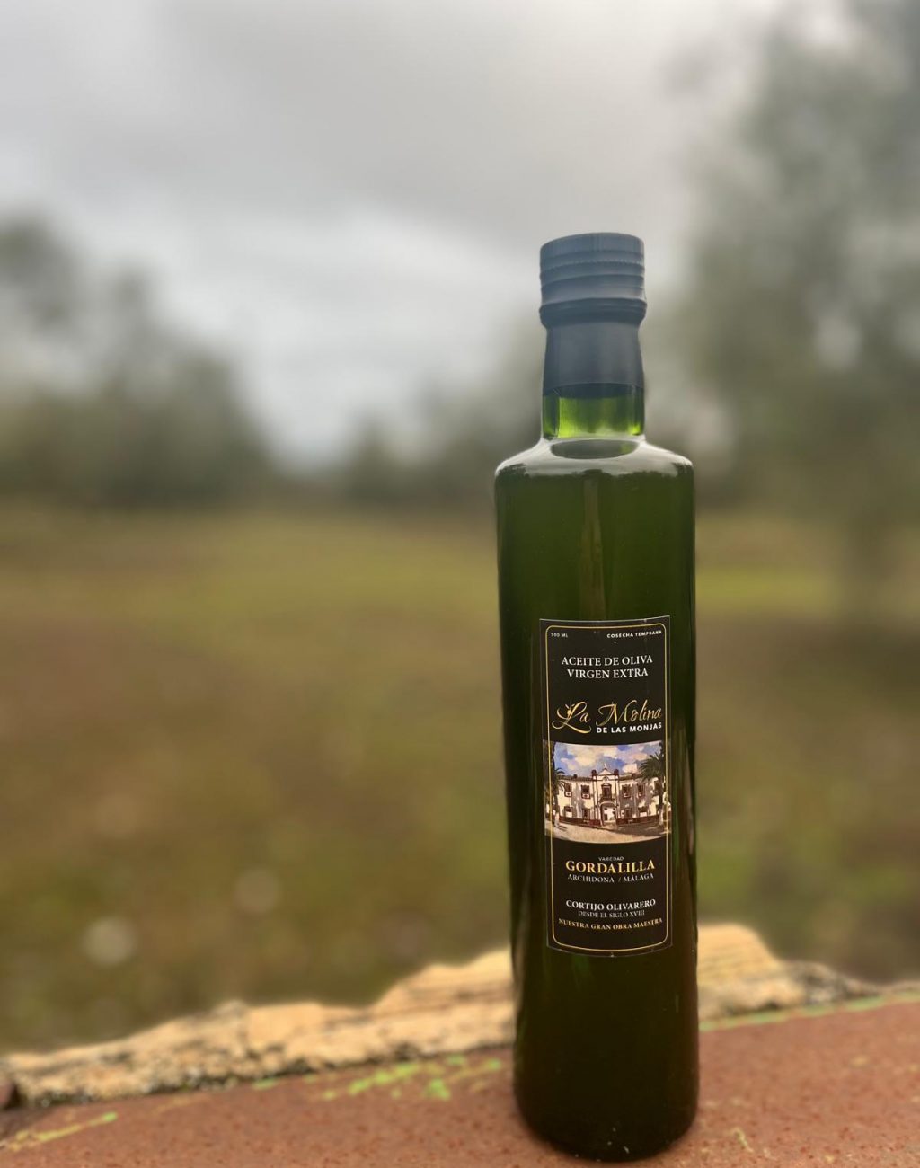 WhatsApp Image 2025-10-26 at 21.32.04